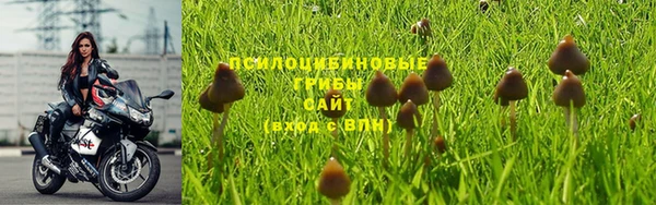 2c-b Богородск